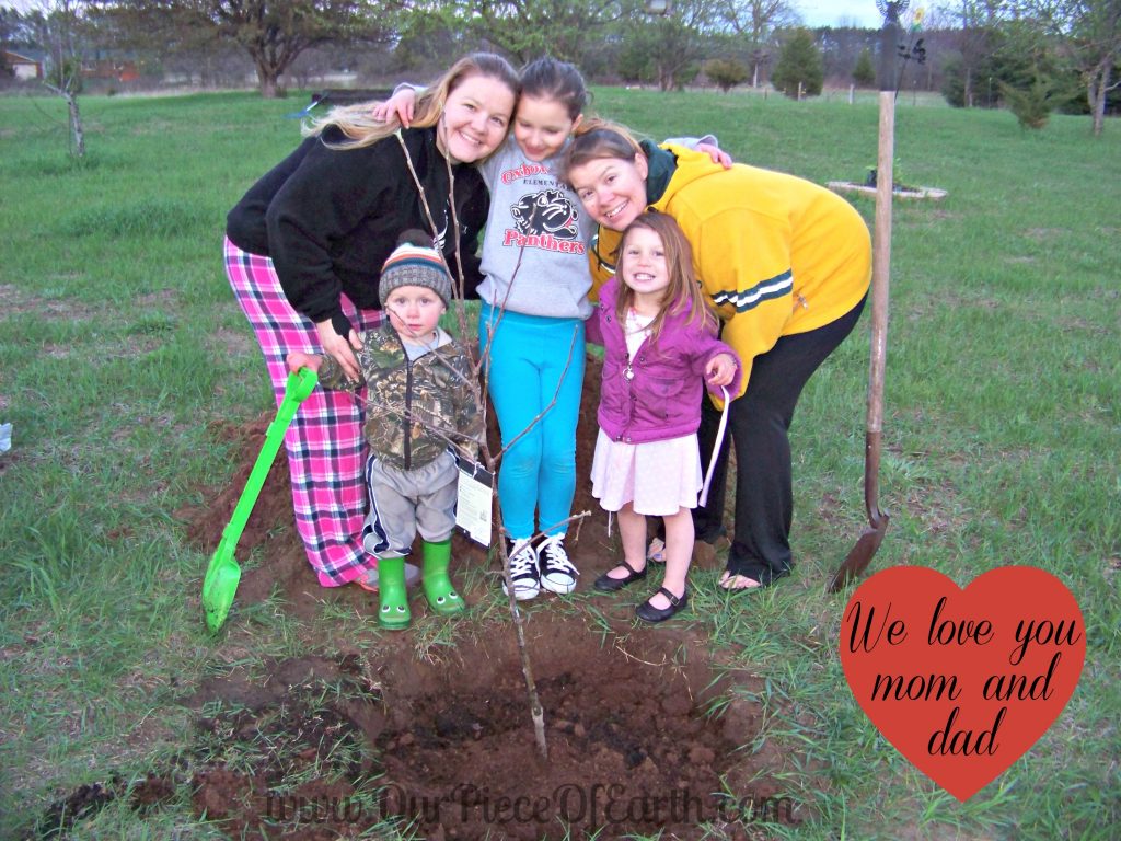 Planting apple trees for my mom and dad - Our Piece of Earth